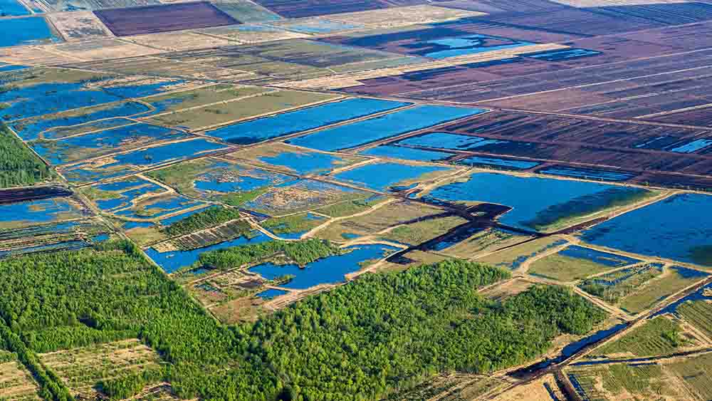 Moore müssen nach Ansicht des Experten Michael Succow besser geschützt werden