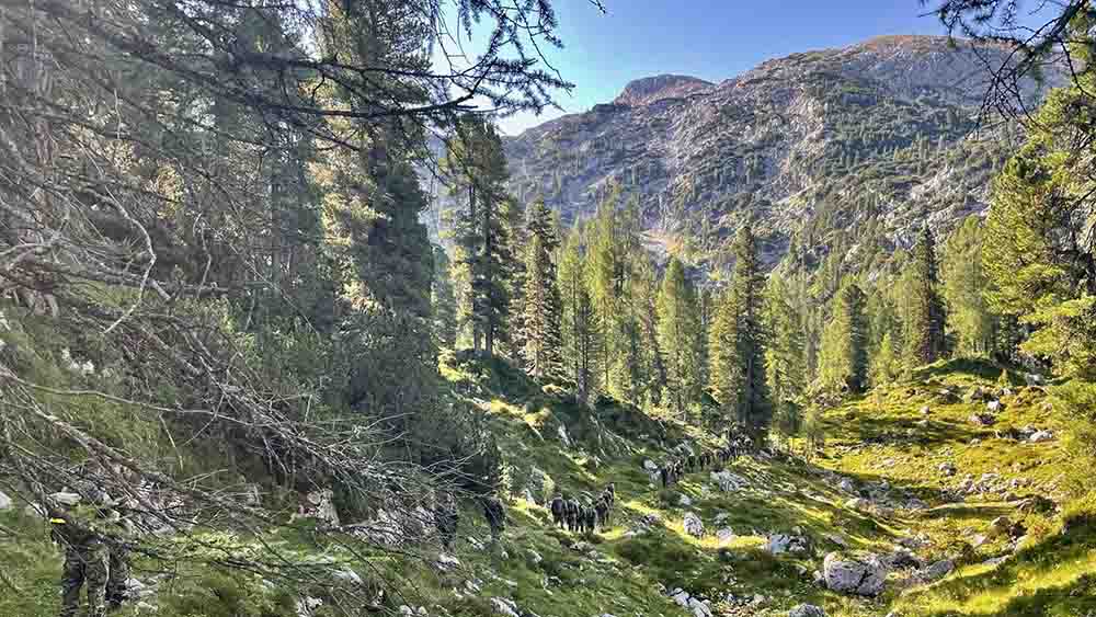 Die Soldaten bei einer Wanderung in den Bergen in Bayern