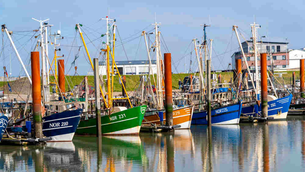 Krabbenkutter im Hafen von Norddeich (Symbolbild)