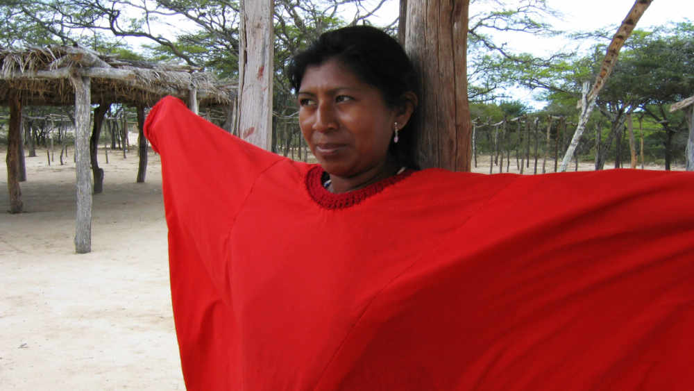 Wayuu-Indianerin in traditioneller Kleidung 