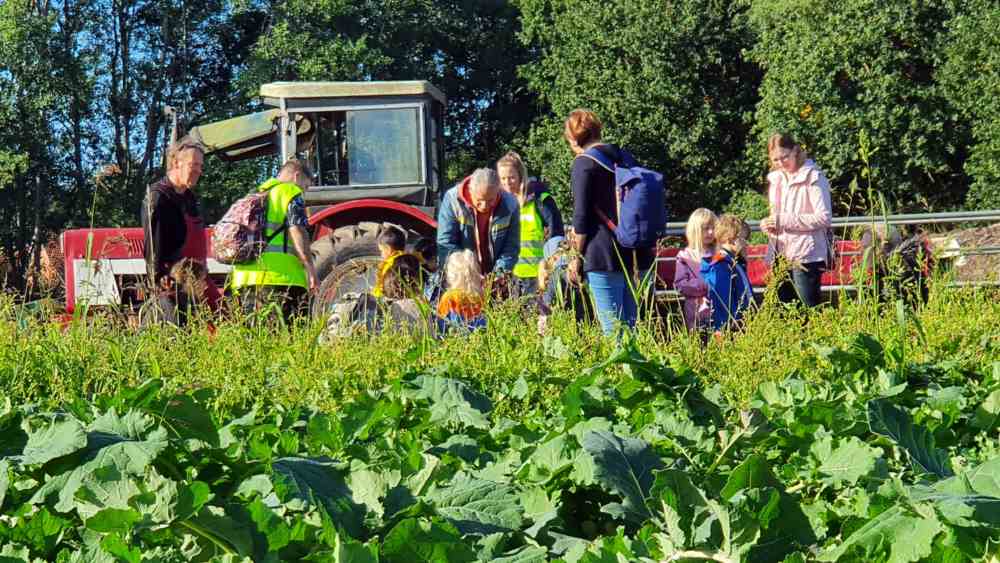 Auf den Feldern eines Biolandhofes bei Bremen lernen die Kita-Kinder über den Anbau von Kohlrabi und Scherkohl
