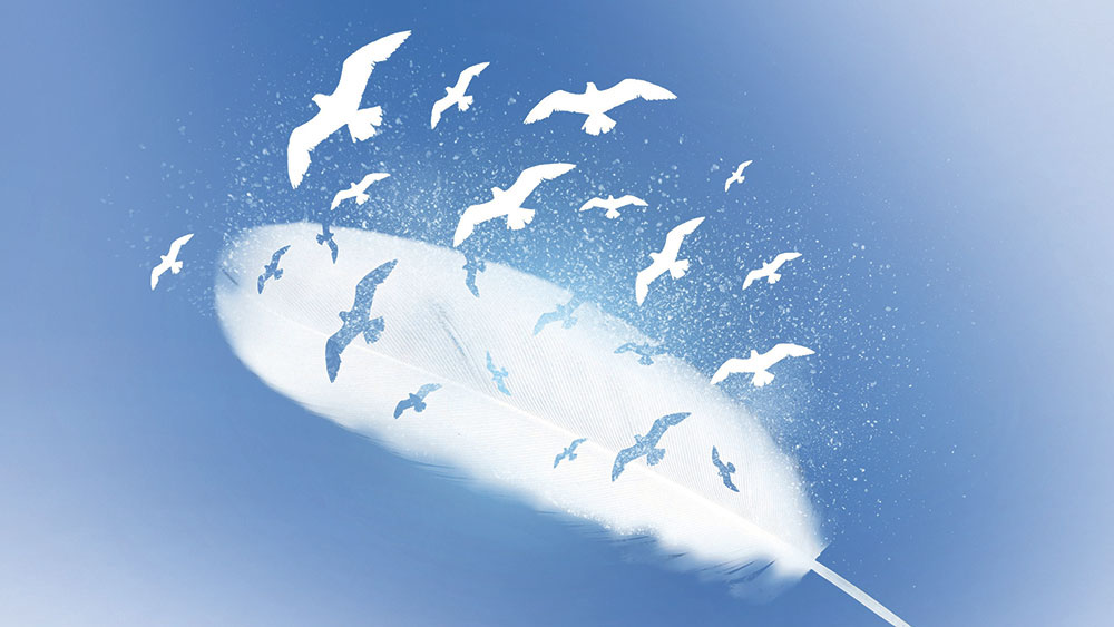 „Wie wird Friede?“. Mit dieser Frage beschäftigt sich die Predigtreihe "Leiden_schaftich für den Frieden".