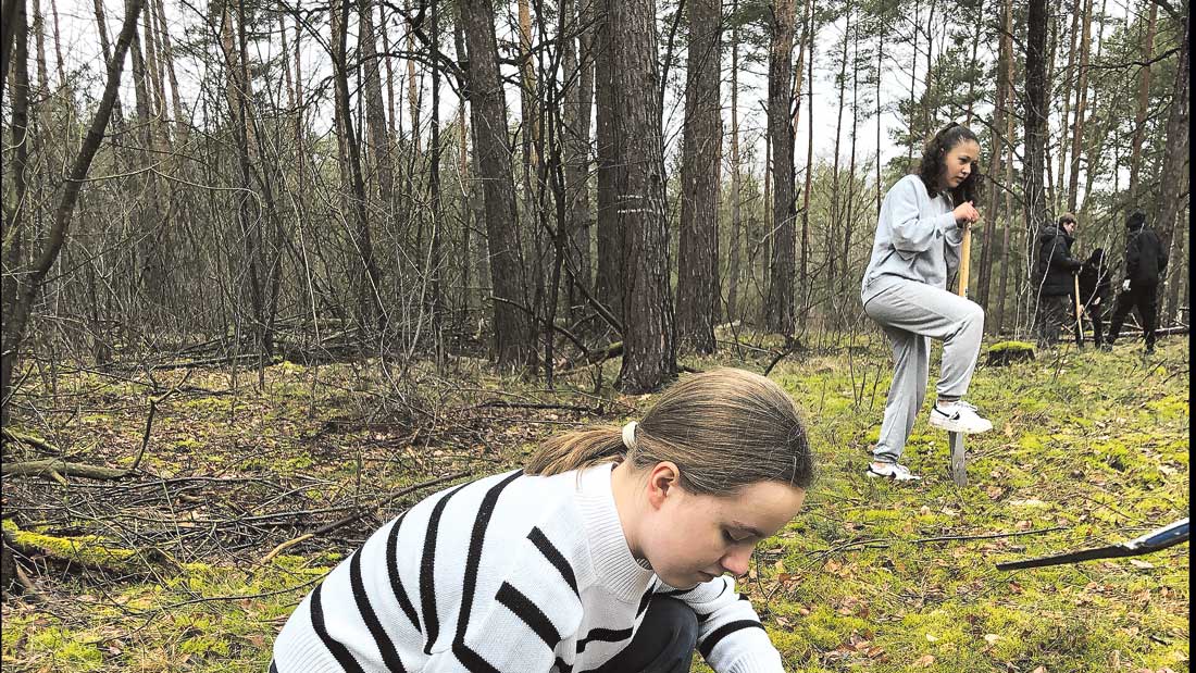 Image - Bäume pflanzen statt Klebeaktionen