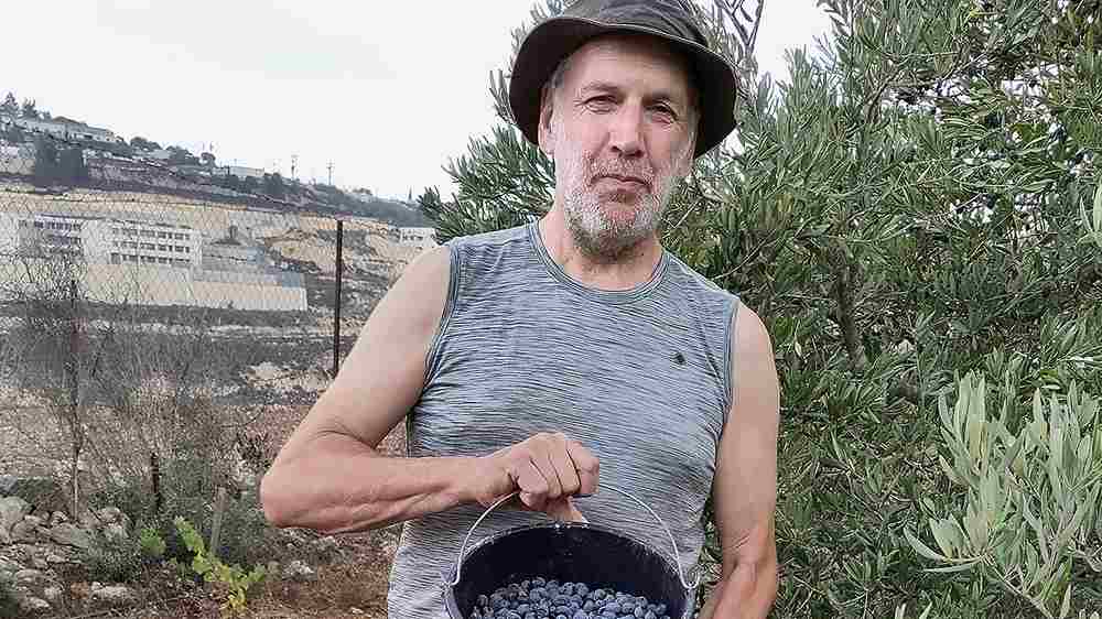 Eckhart Schätzel bei der Olivenernte – im Hintergrund rechts eine israelische Siedlung.