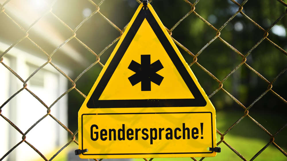 Image - Kleines Sternchen, großer Streit: Warum Genderwahn auch guttut
