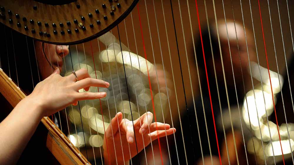 Image - Was Profi-Musiker verdienen