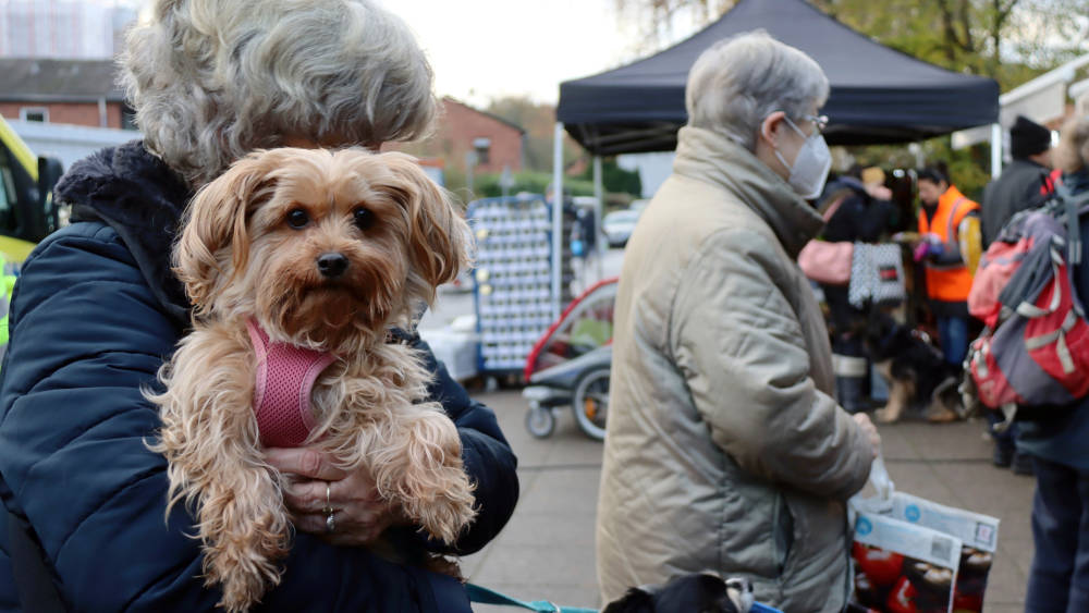 Ausgabe von Futter der Tiertafel unter freiem Himmel