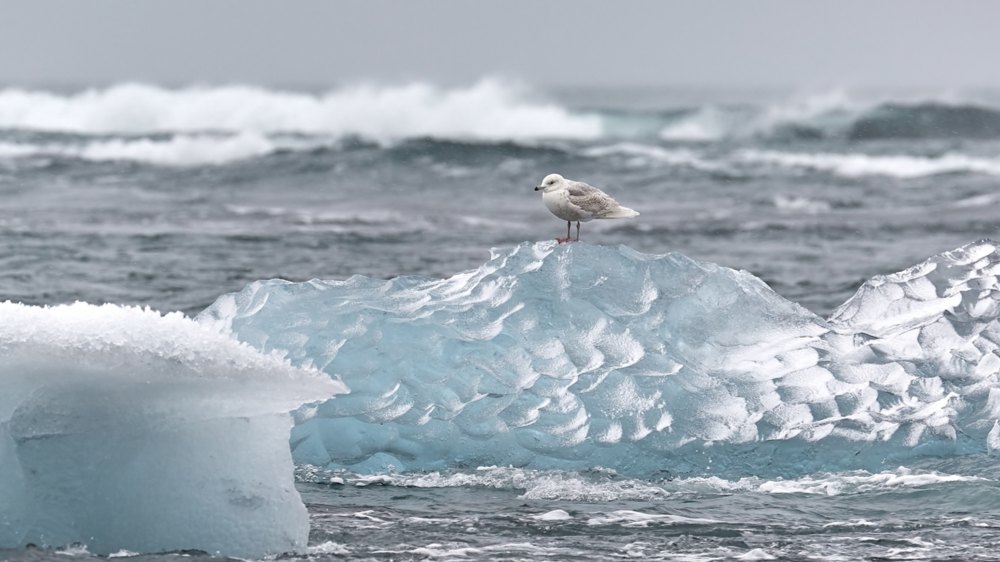 Die schmelzenden Dauerfrost-Böden der Arktis können zu einem großen Problem im Umweltschutz werden