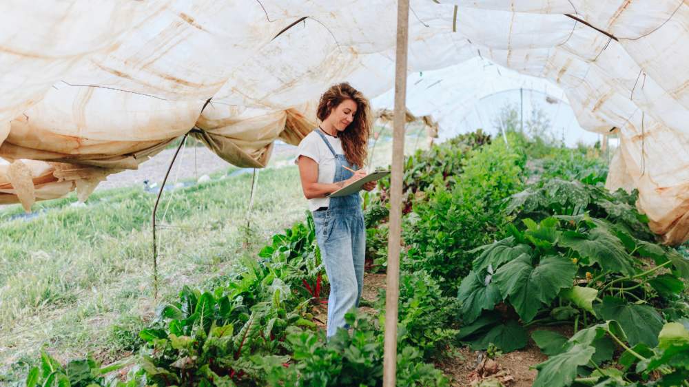 2021 schlossen knapp 900 Frauen einen Ausbildungsvertrag zur Landwirtin ab