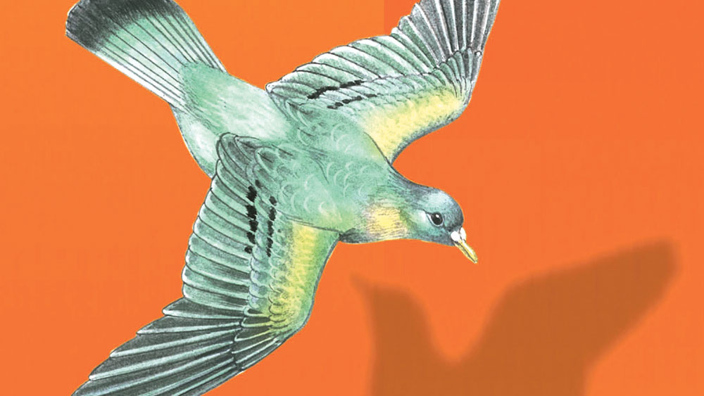 Image - Buchtipp: Der Erinnerungsfälscher