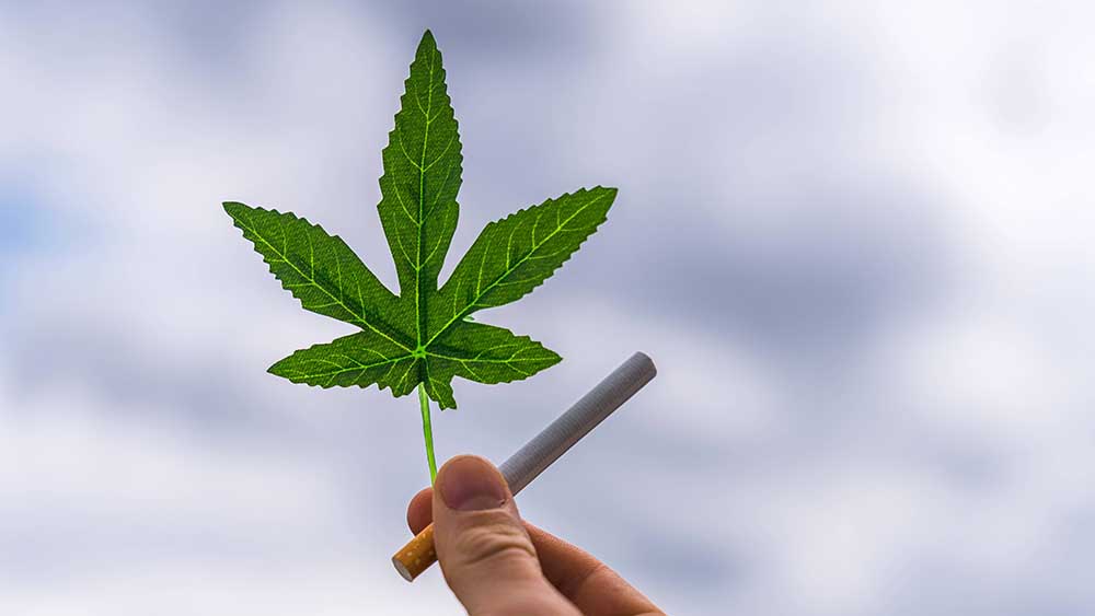 Die Freigabe von Cannabis hält der Ärztebund für keine gute Idee