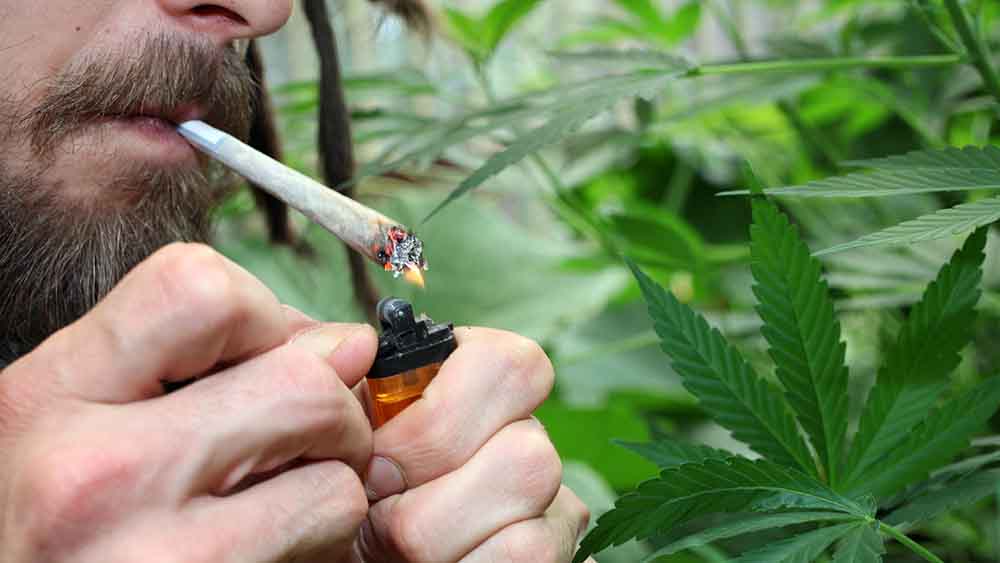 Image - Ärztepräsident: Bundesländer sollen Cannabis-Legalisierung verhindern