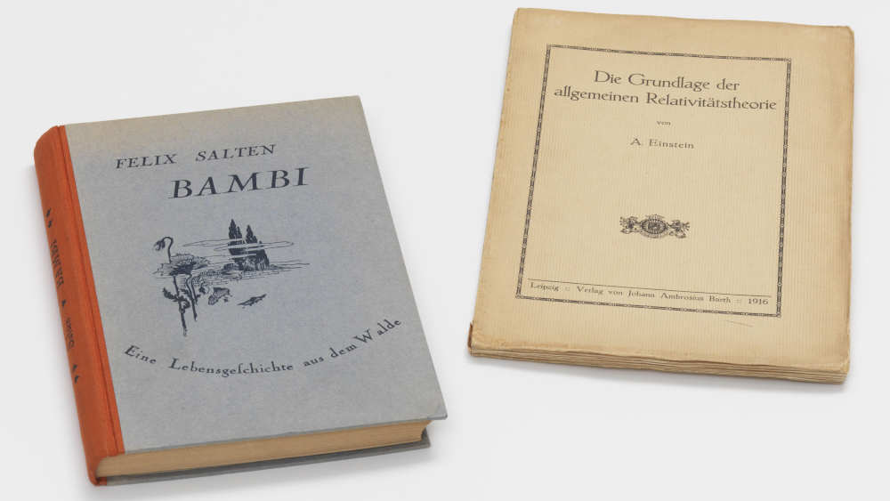 Auch die "Relativitätstheorie" von Albert Einstein und "Bambi" des österreichischen Schriftstellers Felix Salten landeten auf dem Scheiterhaufen der Nazis