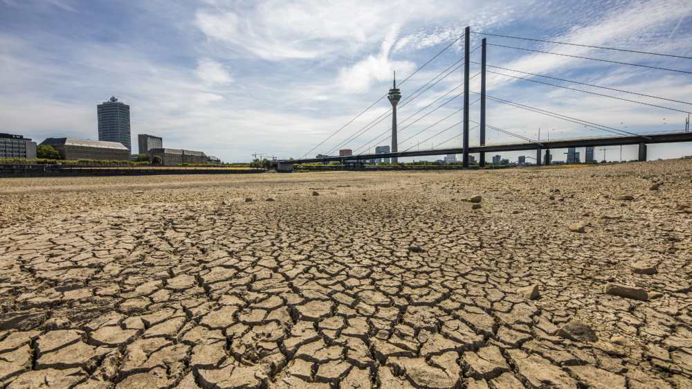 Städte sollen mehr begrünt werden - das ist einer der Punkte für ein bundesweites Klimaanpassungsgesetz (Archivbild)