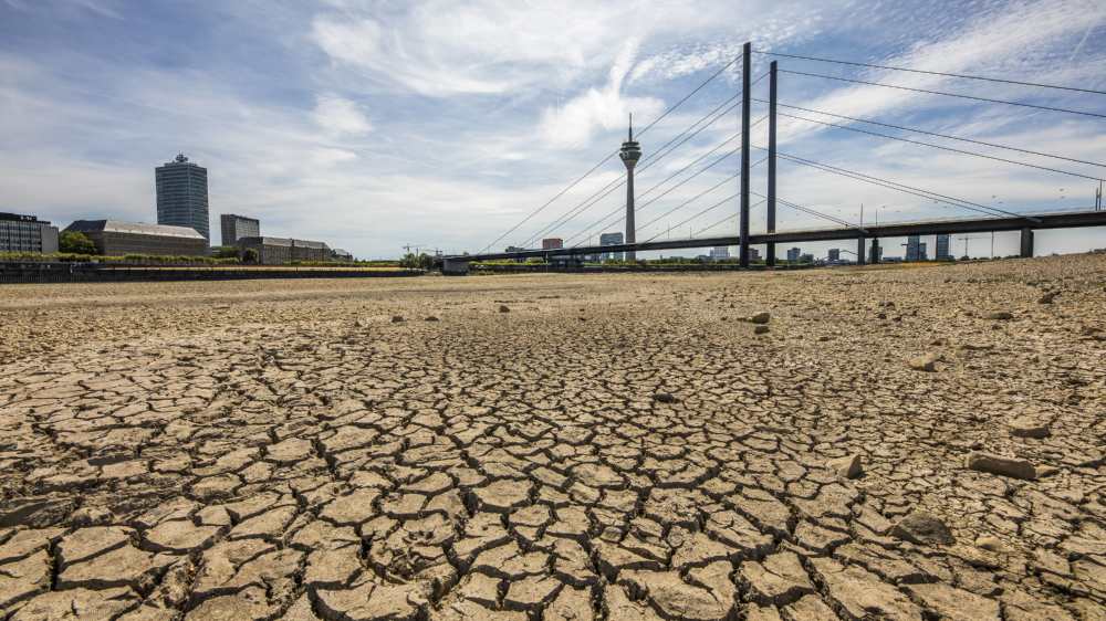 Ausgetrockneter Boden im Rhein-Bett bei Düsseldorf