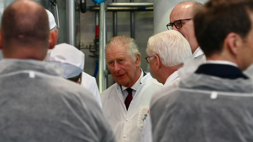 Image - King Charles und sein königlicher Käse