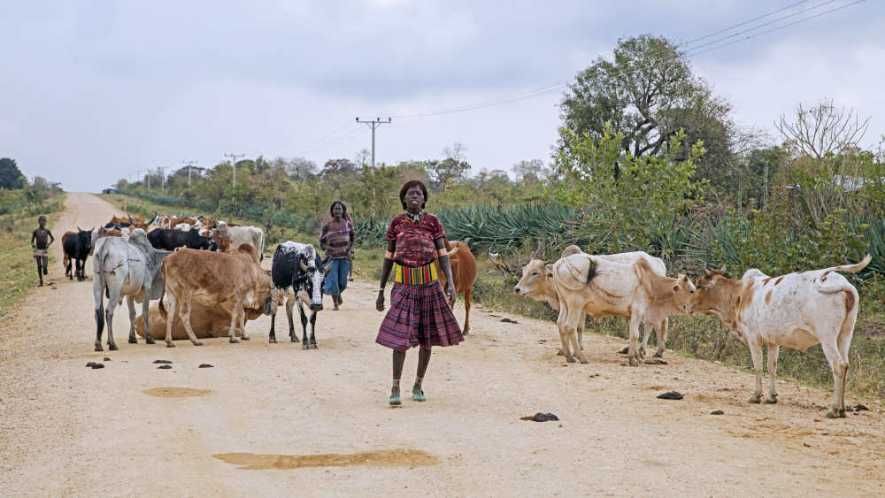 Die Bevölkerung werde mit „ihrem Leid und ihren Traumata“ alleine gelassen, so Amnesty International