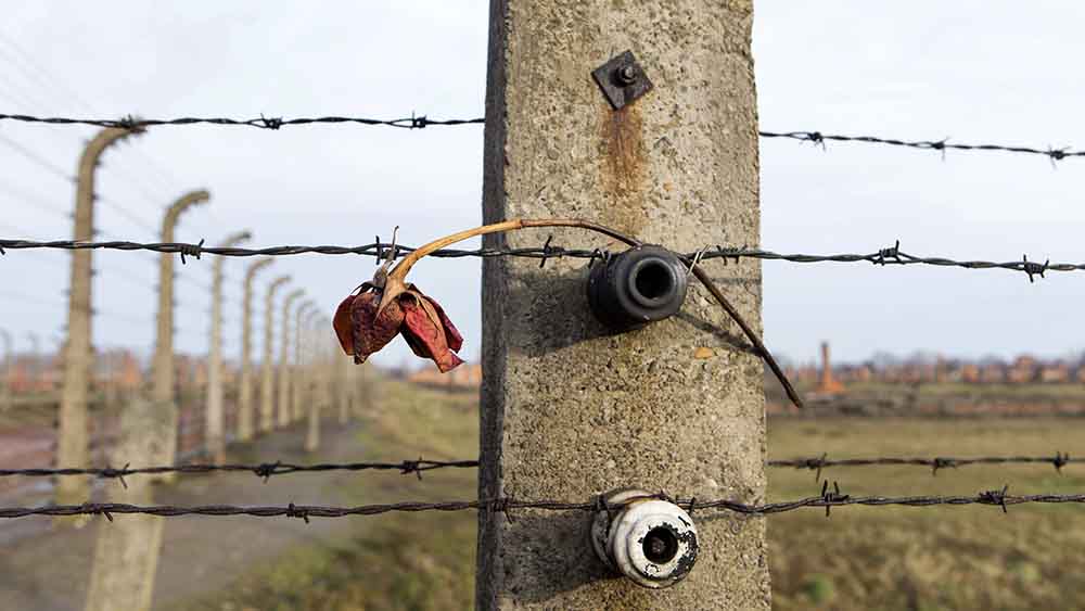 Viele Zeugen Jehovas wurden in Konzentrationslager verschleppt