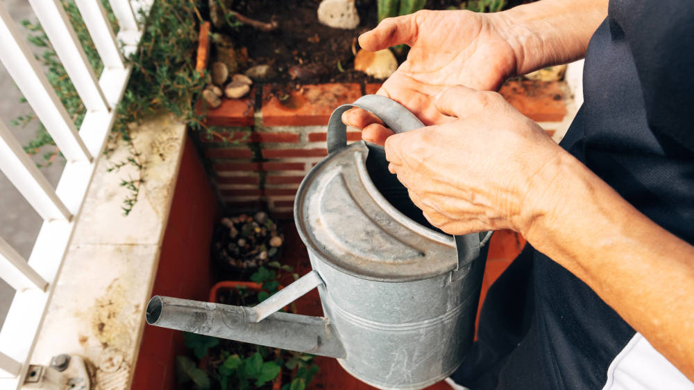 Über naturnahe Pflanzen auf Balkonen freuen sich Menschen und Tiere