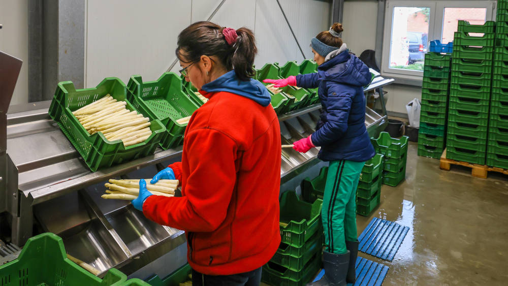 Helferinnen und Helfern droht aufgrund fehlender Qualifikation der berufliche Abstieg