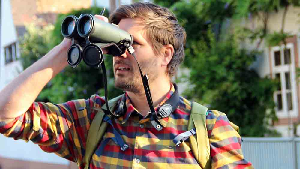 Image - Der frühe Vogel fängt den Wurm – und wird gezählt