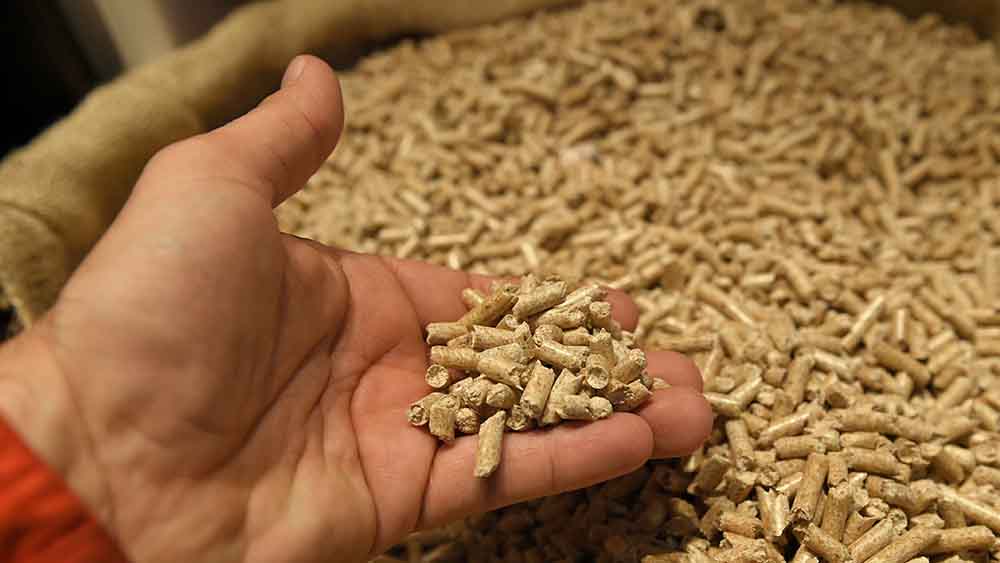 Mit solchen Pellets werden Holzheizungen betrieben
