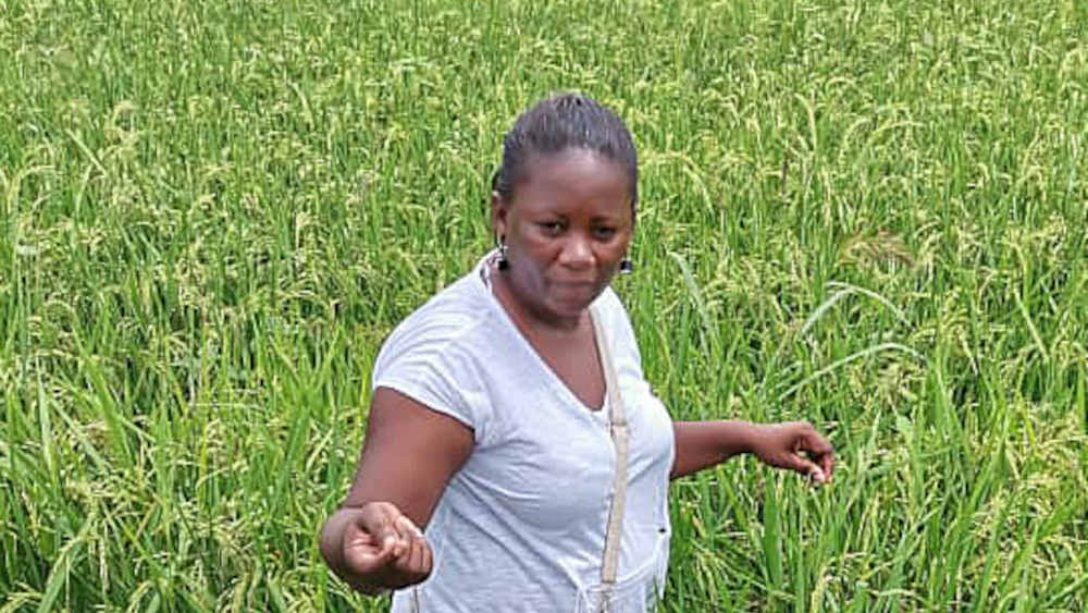 Judith Biali Koné setzt auf Nahrungsmittel aus dem eigenen Land