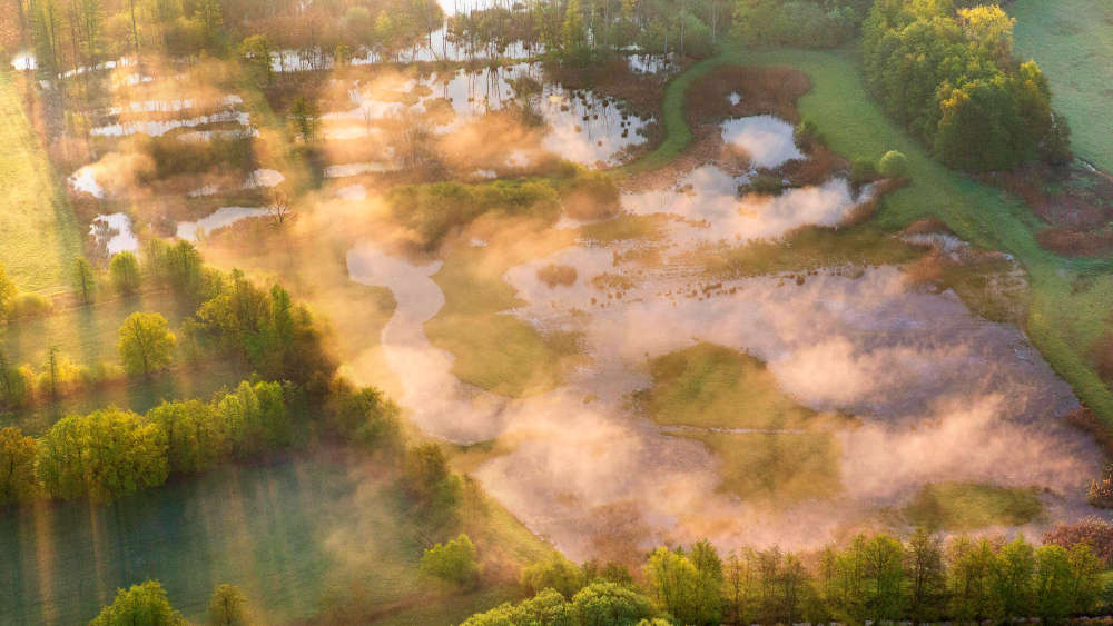 Die Kampagne #RestoreNature setzt sich für das EU-Renaturierungsgesetz ein (Symbolbild)