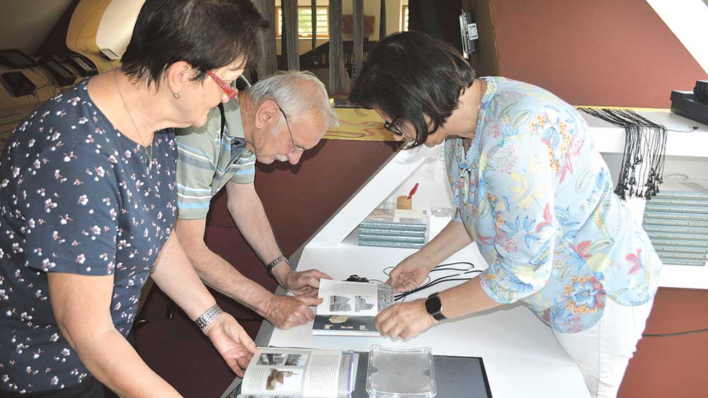 Dörthe Stein konnte in den vergangenen 17 Jahren 12 000 Besucher im Archiv „Verschwundene Orte“ begrüßen. Hier erklärt sie dem Ehepaar Seba, wo ihr abgebaggertes Heimatdorf Straodow lag