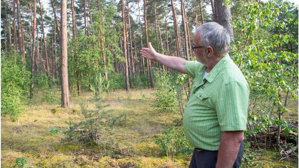 Wald im Westhavelland mit Michael Duhr