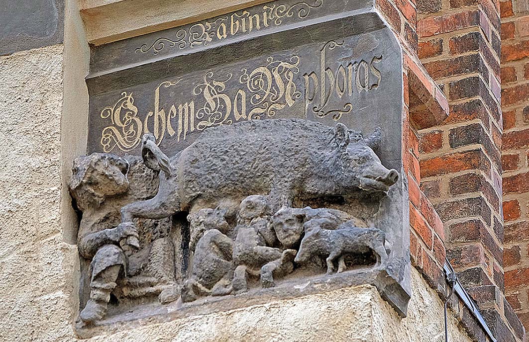 Image - Das Schwein des Anstoßes