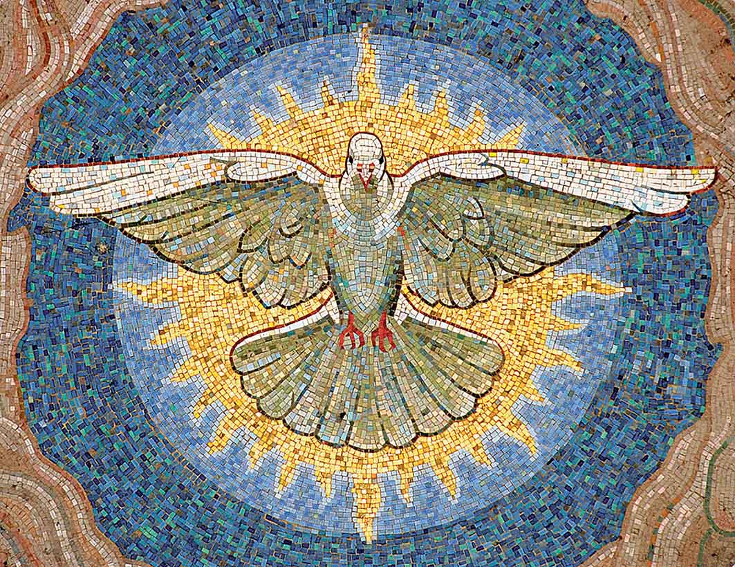 Image - Was ist aus der Taube geworden?