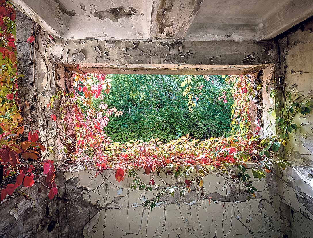 Image - Heiliger Same Hoffnung