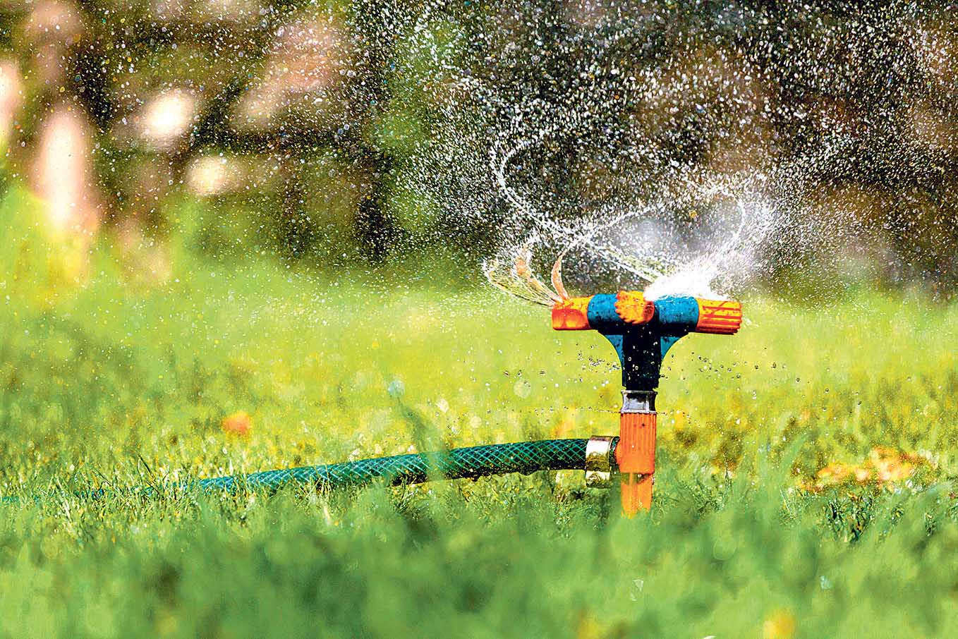 Image - Tropfen für Tropfen Leben