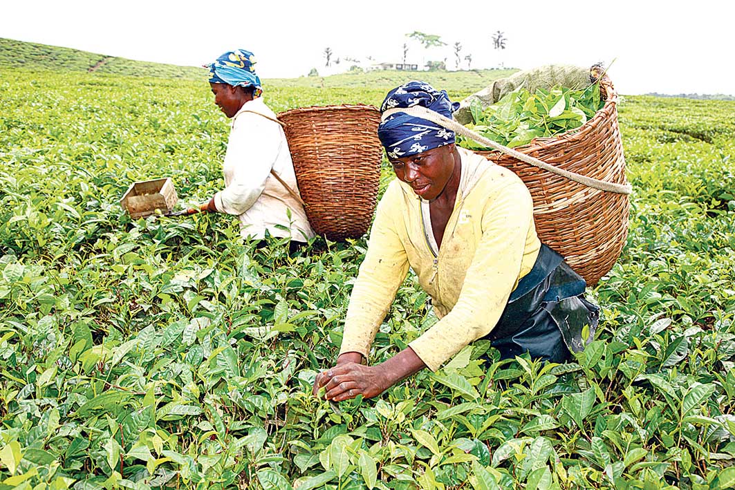 Image - Partner auf Augenhöhe