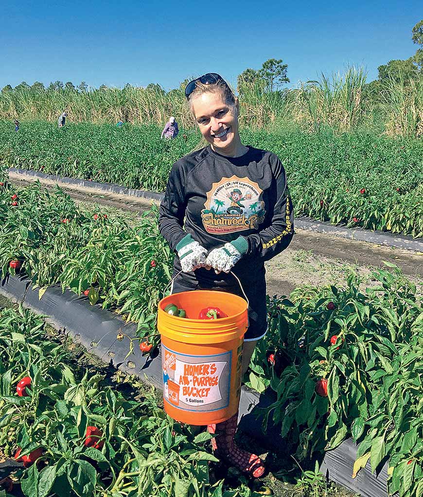 Image - Obacht vor dem Alligator