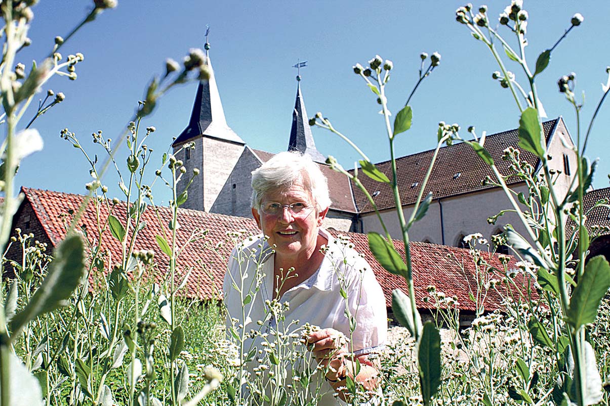 Image - Palmen vor der Kirchentür