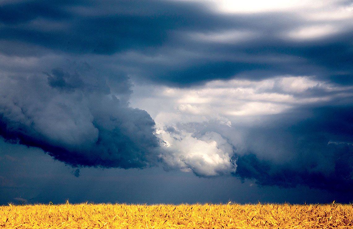 Image - Himmlische Helfer für alle Fälle