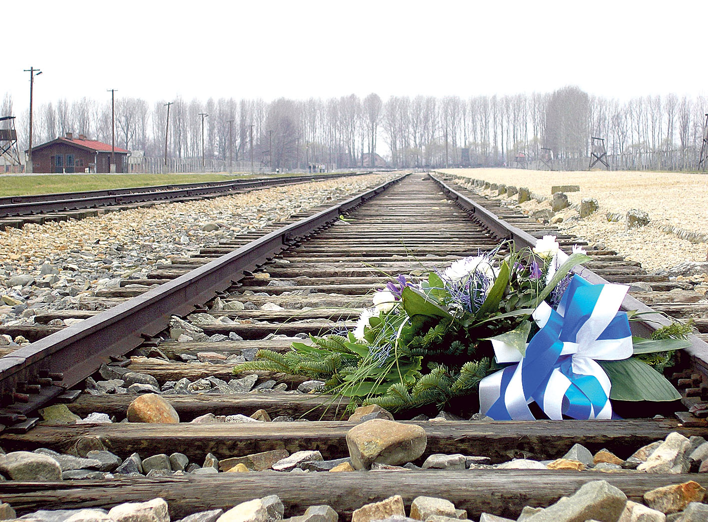 Image - „Wir klagen uns an“