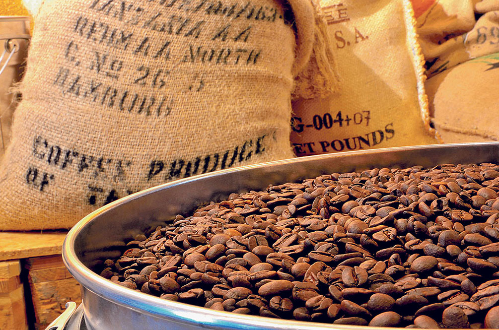 Image - „Es ist noch nicht zu spät“