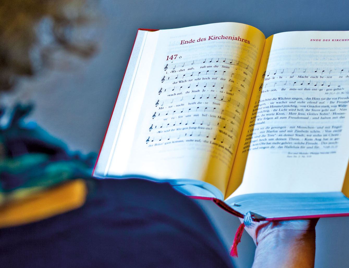 Image - Den Sängern aufs Maul geschaut