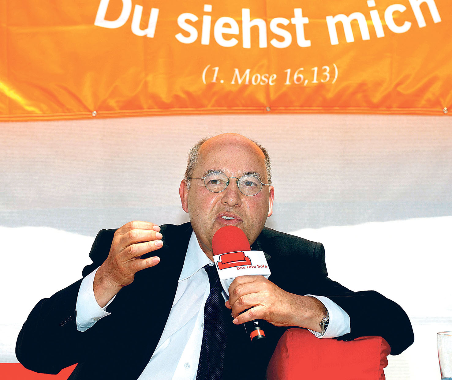 Image - Vertraut mit Hornochsen jeder Art