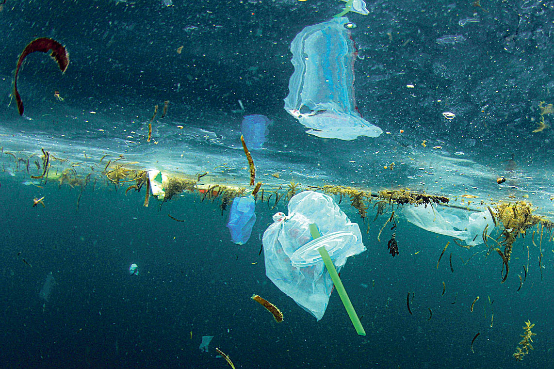 Image - Guck mal, was da schwimmt