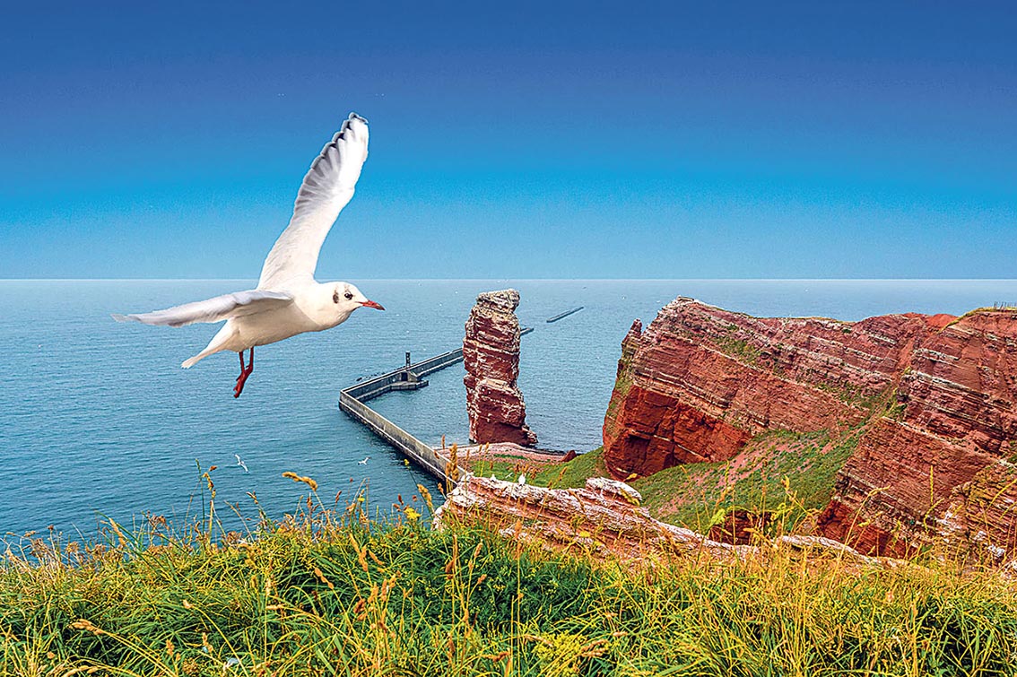 Image - Foto-Abenteuer in der Nordsee