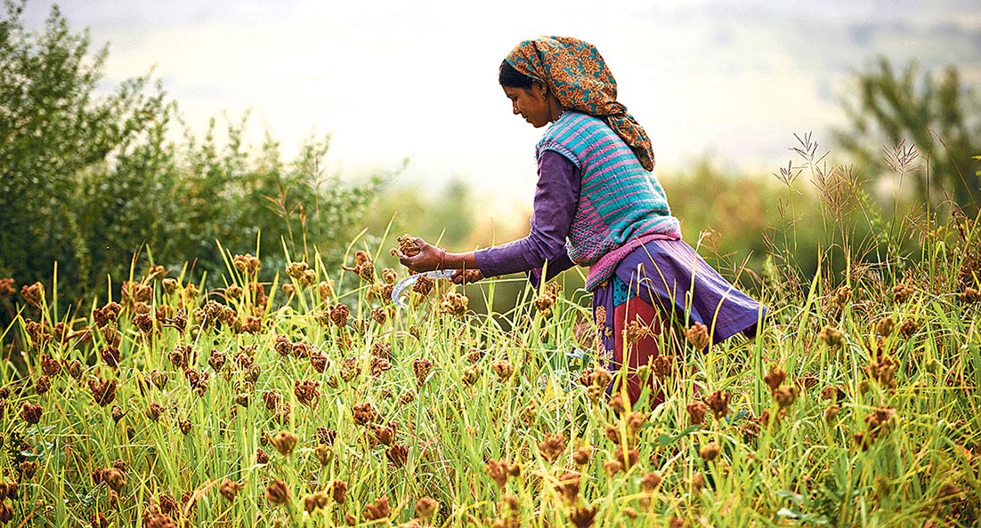 Image - Satt ist nicht genug