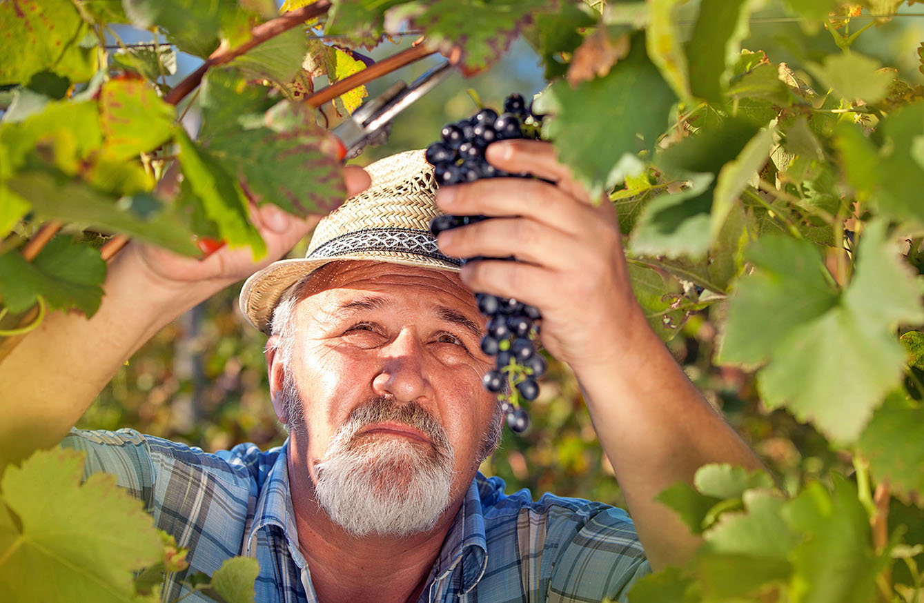 Image - Gottes kritischer Blick