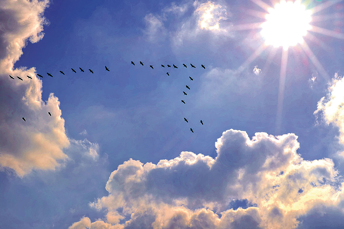 Image - Ein Wunder der Natur