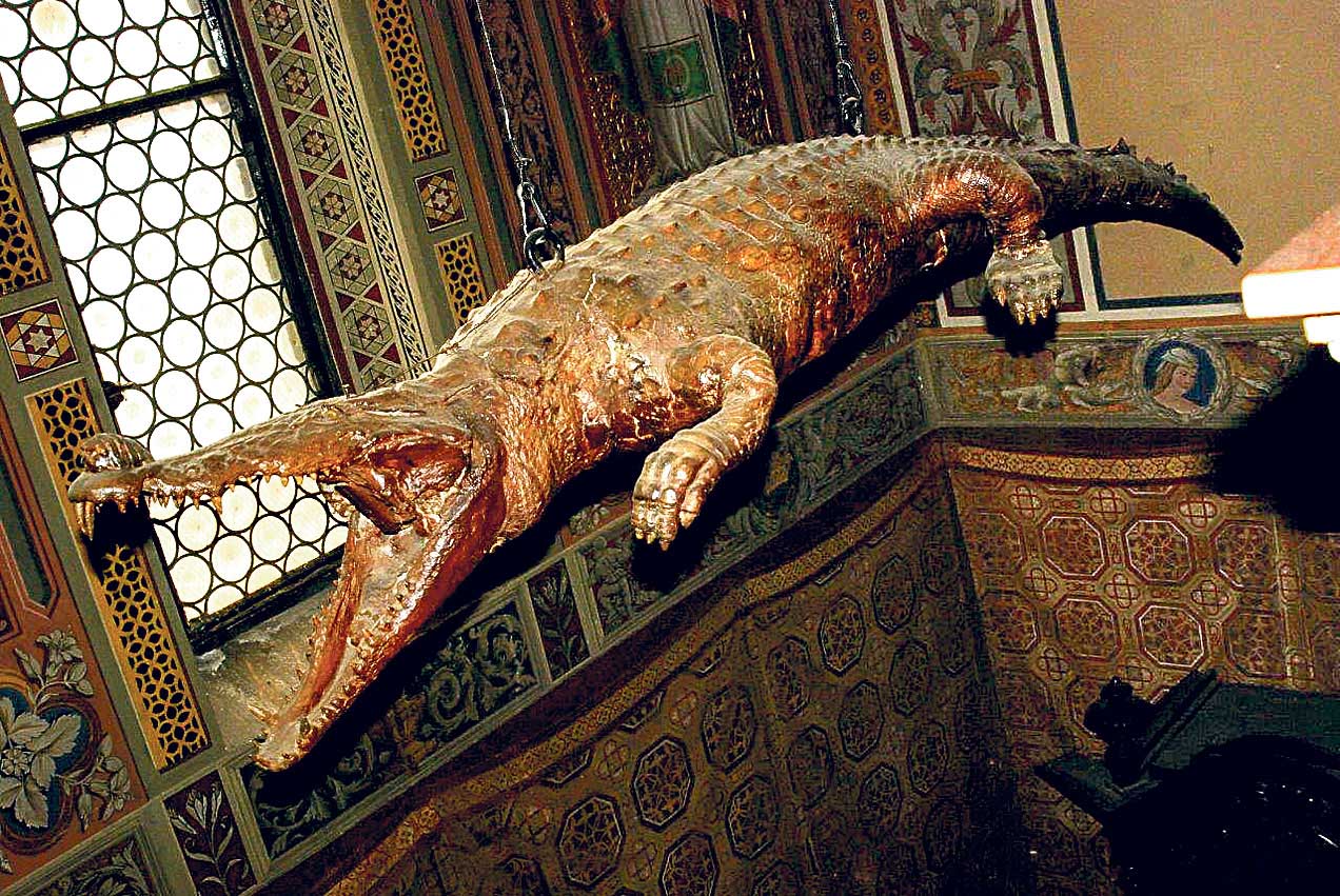 Image - Luftnummer mit großer Klappe