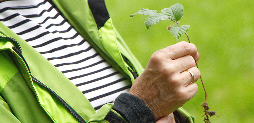 Image - Auf den Spuren der Schöpfung