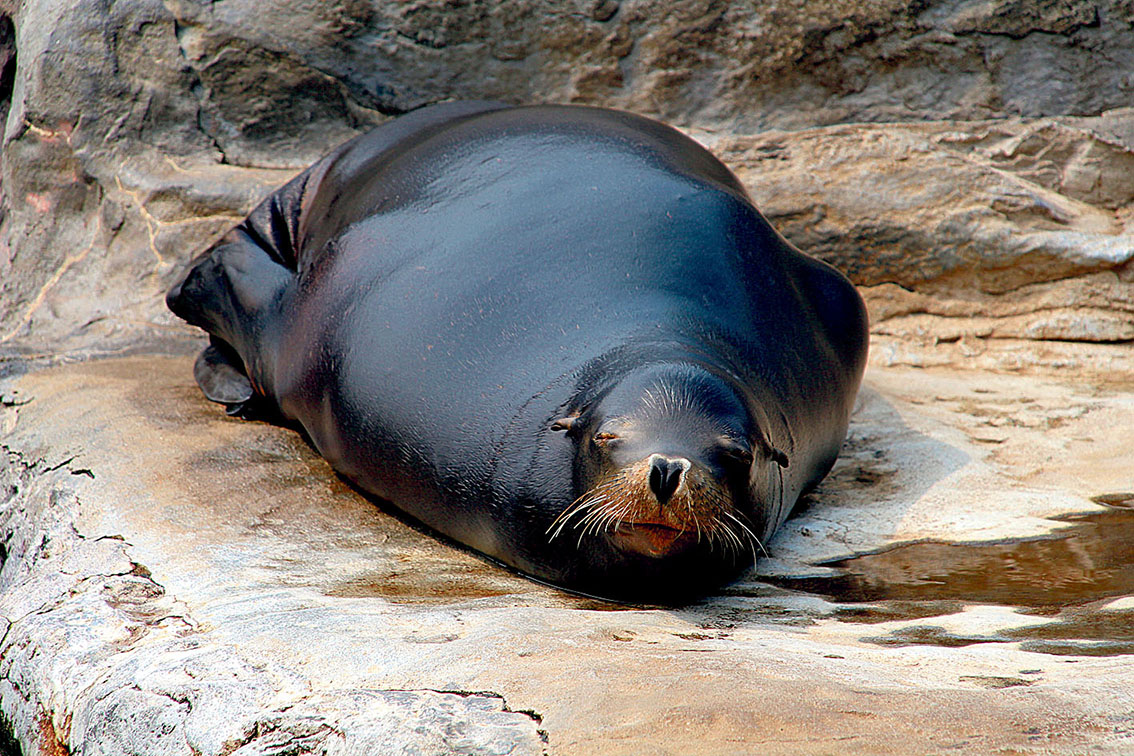 Image - Begegnung im Unterwasser-Loch